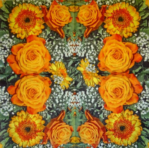 522 Rosen - 3-lagig ( orange) - ti-flair